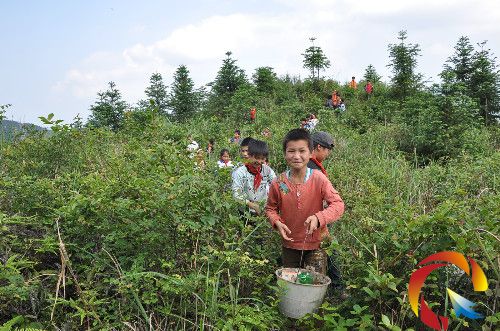 �D����ƽ�hƽկ�l(xi��ng)�ͬС�W(xu��)�W(xu��)���ړ�ʰ��ɫ����