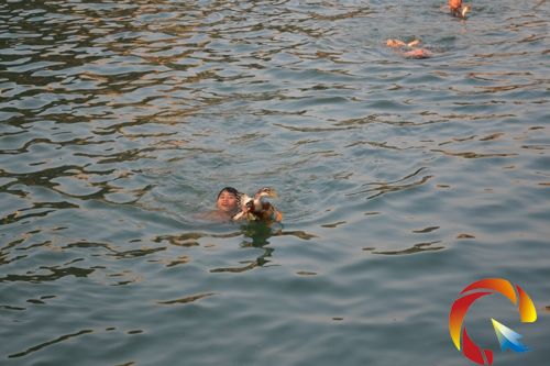 �������ӵ�С��