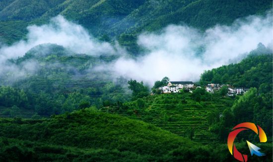 ������̎