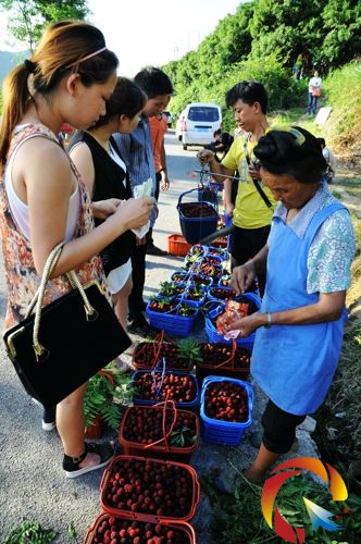 ���S�l���y�����ڹ�·߅�N�ۗ�÷