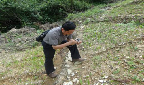 圖為朱國勝博士檢查冰球子發(fā)生病害情況