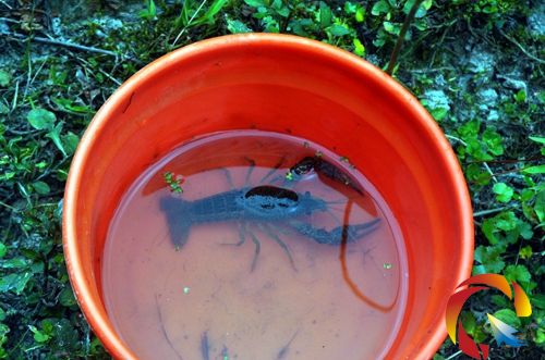 ˮư������r