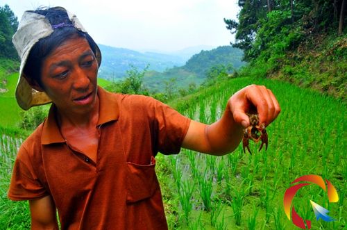 �ܿ��ץ��һֻ���r