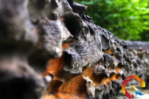 ���[Ƭ��ꎳ�ľ