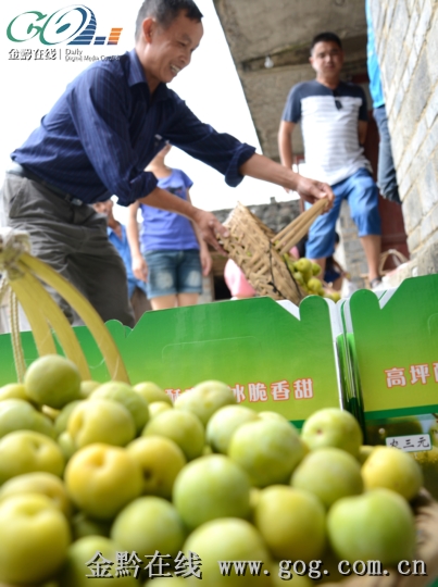 ����h��ƺ���������a��10�f����,�aֵ80�fԪ,ȫ���˾�������515Ԫ���������š��q�Ĕz