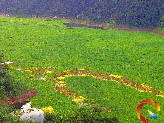 �M����ˮ���J