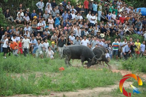 ˮţ�����ļ��҈���