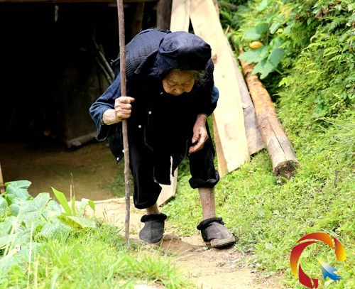 壽星張老丫串門