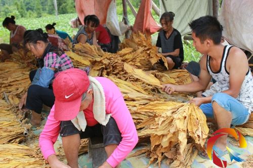 與工人一起勞動