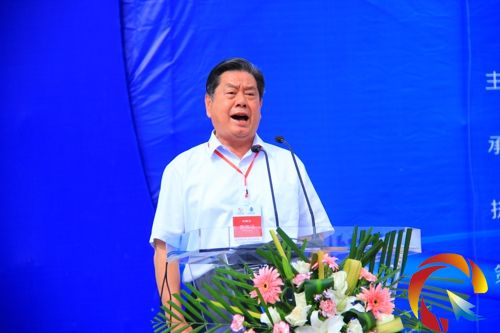 省人大常委會原副主任楊光林宣布2013中國(貴州)國際民間工藝品博覽會正式開展