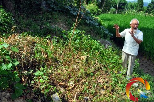 �����ϱ���������Ĺǰ�v���w�ɳɵ�Ӣ�����E