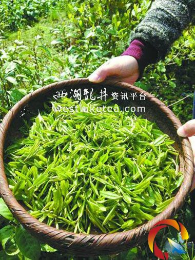 ���Ї������l���ֹ�������Դ�G��