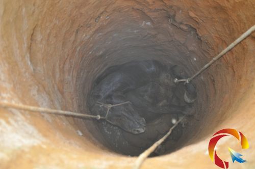 �W�R���\��ɳʯ�^���У��������붴Ѩ