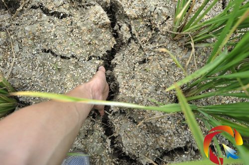 �����������_��