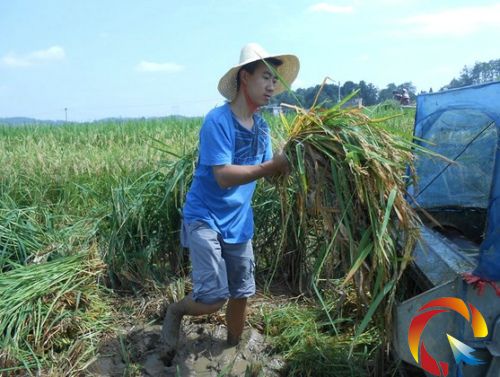 �v��ɲ���ԣ�����յ��ȼ�Ӱ