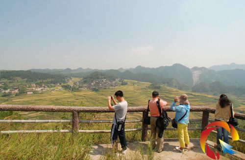 ���S����������