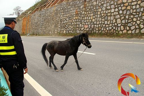 �R���� Ԓ����ԇ�D����