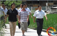 �_���ൽǭ�|�����_�l�^�{��