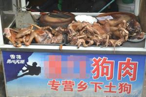 �����Թ�����Ɂ�