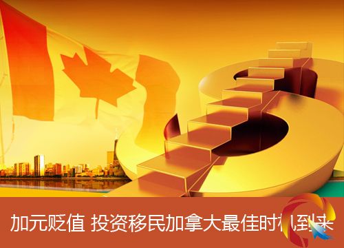 ��Ԫ�Hֵ Ͷ�Y������ô���ѕr�C����