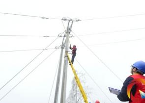 �P��늾Wݔ늾�·����259�l ��񸲱�20����