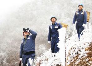 �����PѩæѲ��