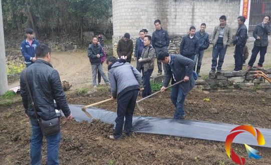 �얣����D�����������������������������ɱO������ȡ�Ì�Ч