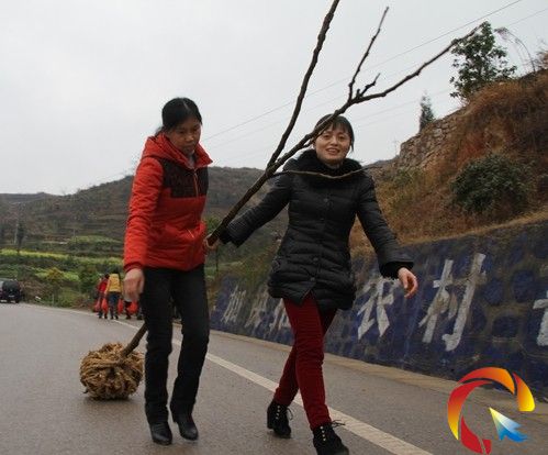 施秉干部植樹“實(shí)名制” 向成活率低說拜拜