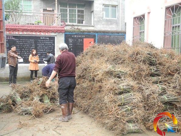 �\���h�~���20���f�^����l�ŵ���