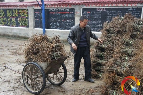 �\���h�~���20���f�^����l�ŵ���