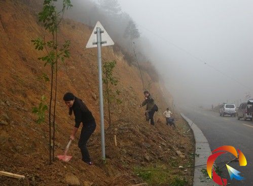 雷山縣質監局開展“綠化環境,和美人生” 植樹活動