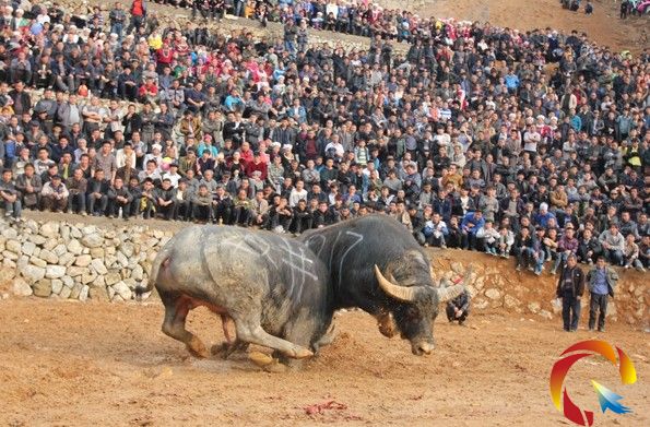 �_(t��i)�������p�����Z�޻�D�M��ţ��һ��