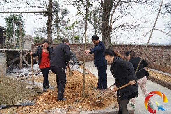 錦屏縣銅鼓鎮計生干部齊上陣建綠色家園