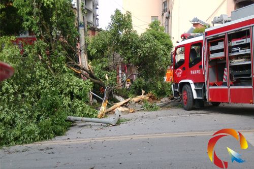 �¹ʬF��һƬ�ǽ�