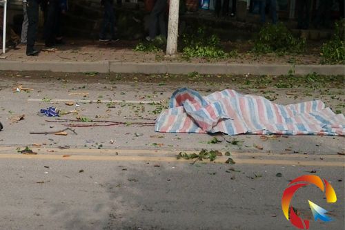 �¹���y��