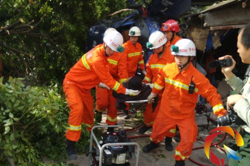 �����T�ȳ�����