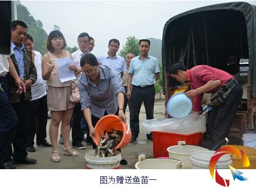 �Sƽ�h�����֡�����悞����Ĵ������ȥ9000β�~��