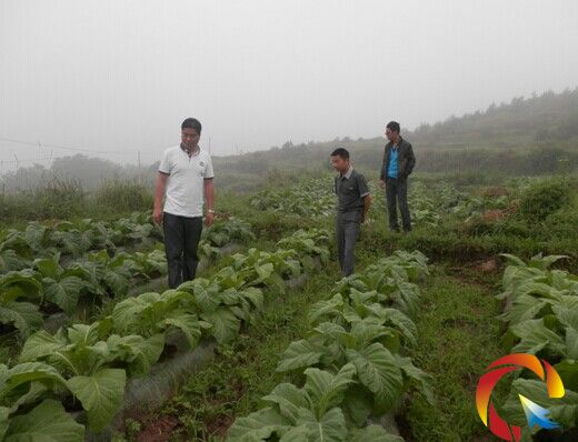 ������������������]�(zh��n)�����L(zh��ng)��(sh��)����