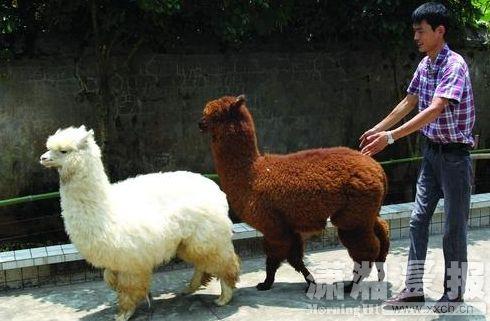 ���Q��u�y����ע�Y�ك|��Ԫ �������Ї���ӡ��