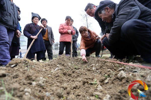 �r���ˆT�����������������N�ķNֲ��ʽ