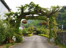 �L�������ļtꖶȼ�ɽ�f