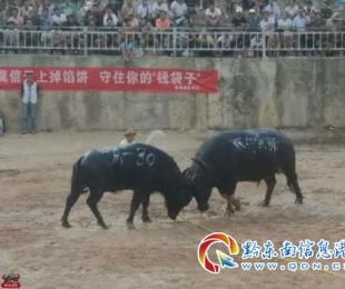 �����R�۶�ţ�� ����֪�R�M���l