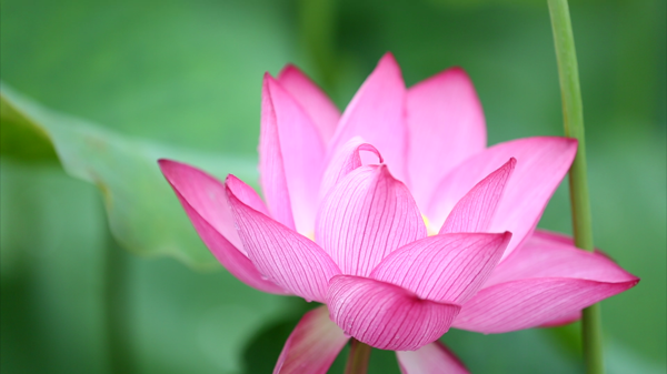 �̹��@���F�ڄP��¡���e��ǭ�|���й�˾����ʢ��