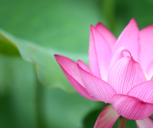 ʢ�ā��R������300���ɻ�ʢ�_��!̫����!