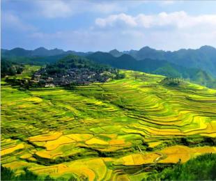 �������������S��ǭ�|���@5̎���ﳬ����