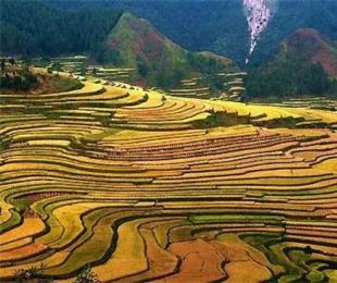 �F�ݣ����������