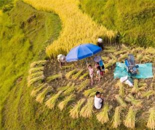 �Ľ�����Q�b�ˣ�����