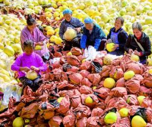 ���ҵ����־�aƷ��˼���֡��S�ջ���