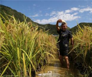 �P������~�Bֳ�a�Iӭ�S��