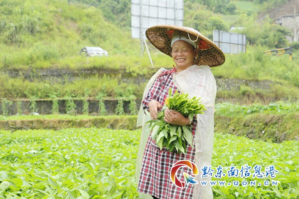 �P������tɽ�冢���r���h���l���������D��